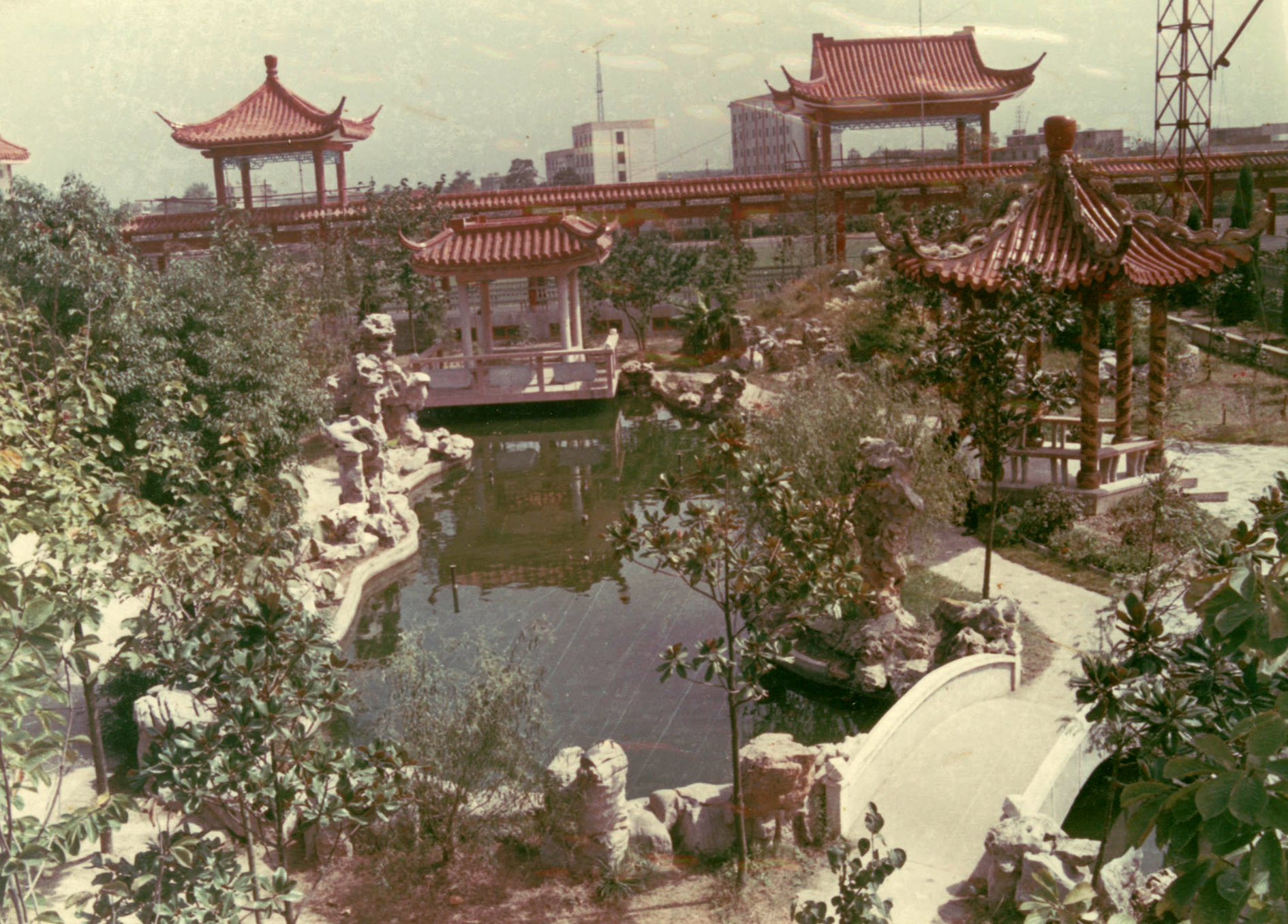 朗润园