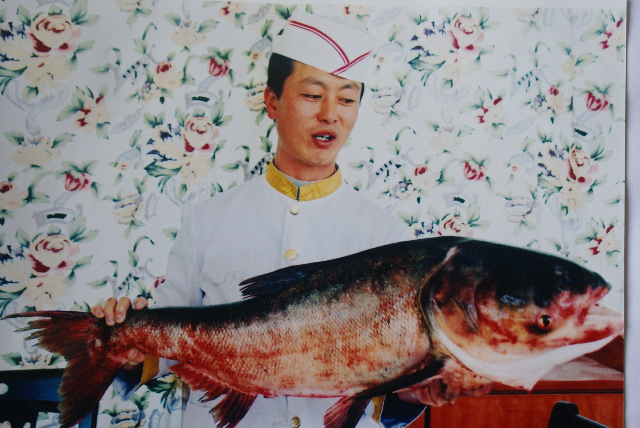 沙湖大鱼头,宁夏石嘴山市<a target="