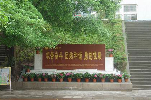 重庆市万州区红光小学
