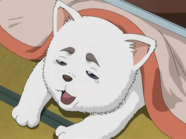  p>定春,日本漫画《 a target="_blank" href="/item/银魂/27263"