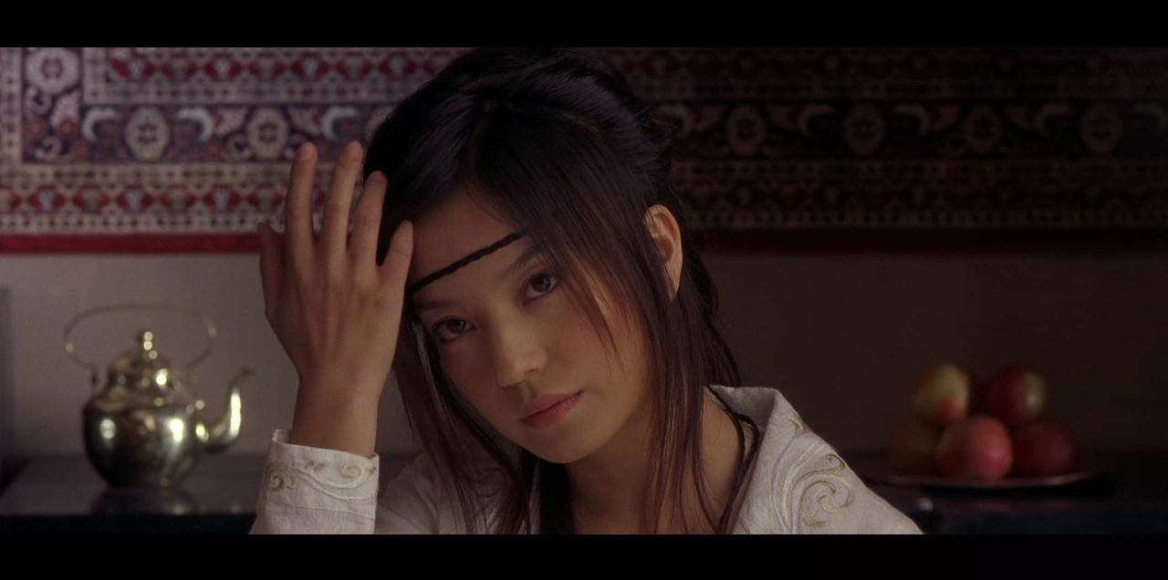 天地英雄warriorsofheavenandearth(2003)