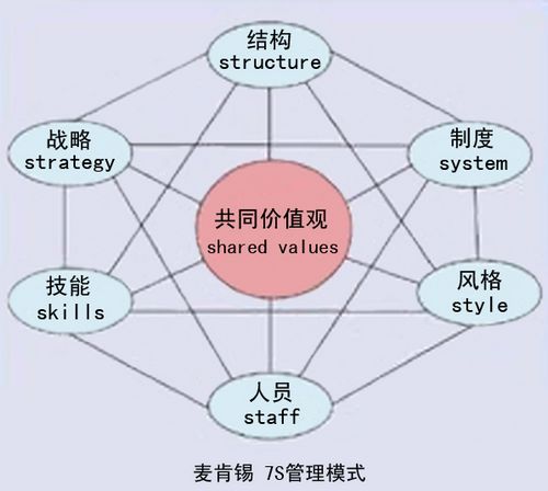 经营单位战略