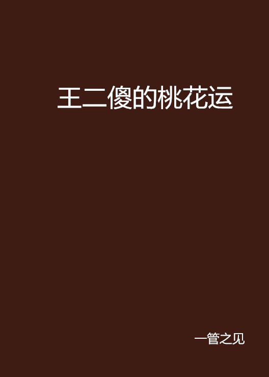 王二傻的桃花运