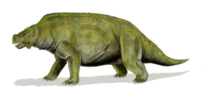 scutosaurus
