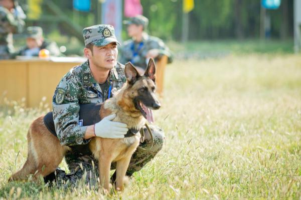 也叫小七, a target="_blank" href="/item/幽灵犬/15421549" data