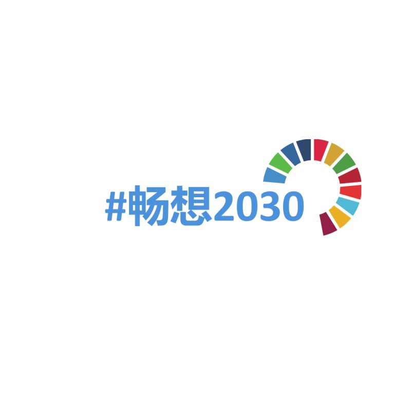 联合国中国"畅想2030"