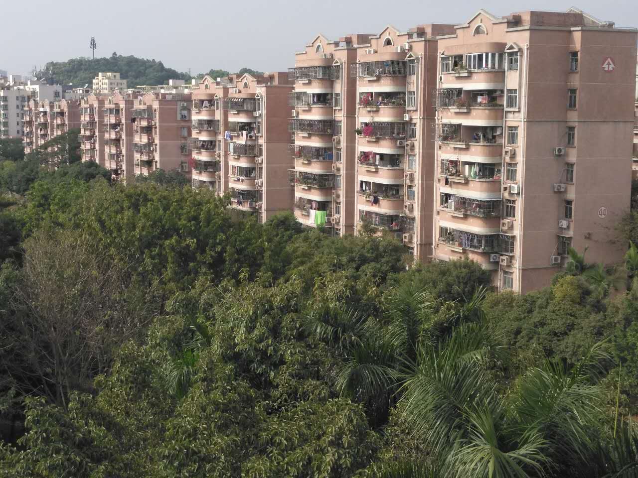  p data-id="gnx0w55xmi">桃源村位于深圳市南山区,北环路与龙珠大道