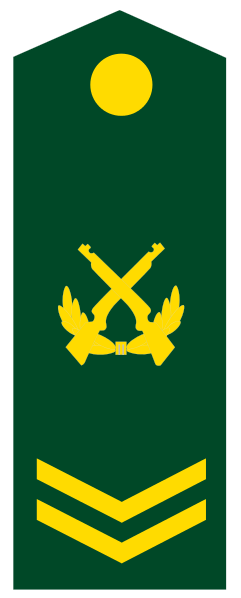 人民解放军,解放军,英文:peoples liberation army of china,英文