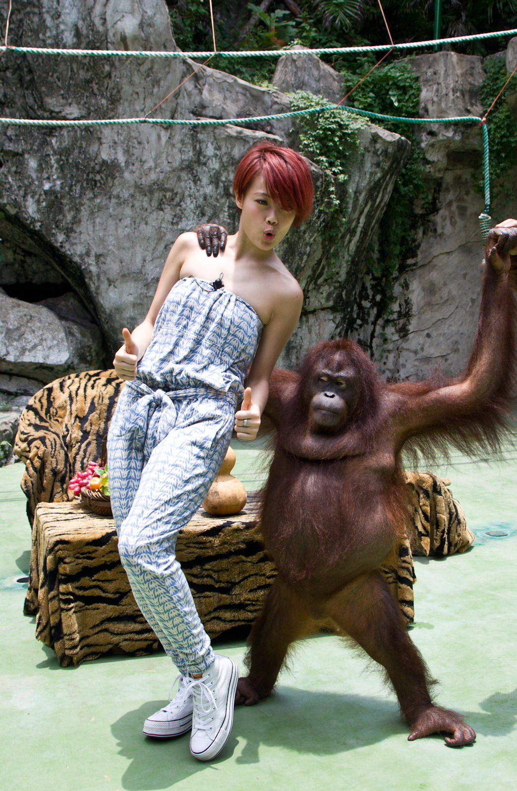 seniculus)是 a href="#" data-lemmaid="138913">南美洲 /a>的一种 a