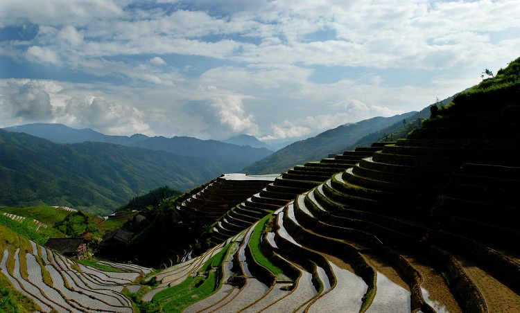  p>龙脊梯田,是指在龙脊山上开发出的梯田,从广义说叫做 a target="