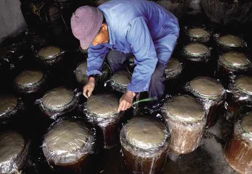  p>海盐大头菜,浙江省海盐县特产,中国国家地理标志产品.