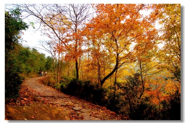  p>双石岭古道(也称松石岭)是浙东名山 a target="_blank" href="