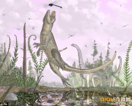  p>猫鳄(pakasuchus kapilimai),史前爬虫类动物.