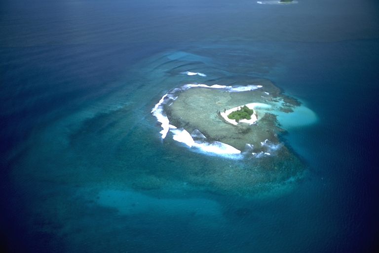  p>珊瑚礁海岸是 a href="#" data-lemmaid="10953903">造礁珊瑚 /a>