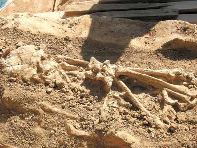  p> a target="_blank" href="/item/东胡林人遗址/6478925" data