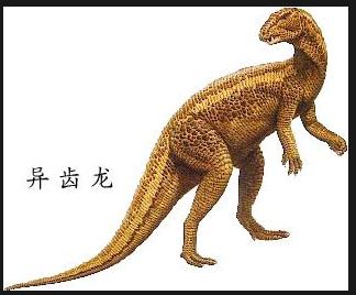  p>又名畸齿龙,两异齿龙,是 a target="_blank" href="/item/鸟臀目