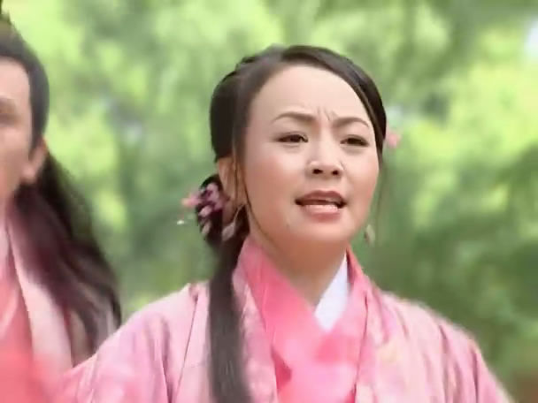 无敌县令(金边)(dvd)