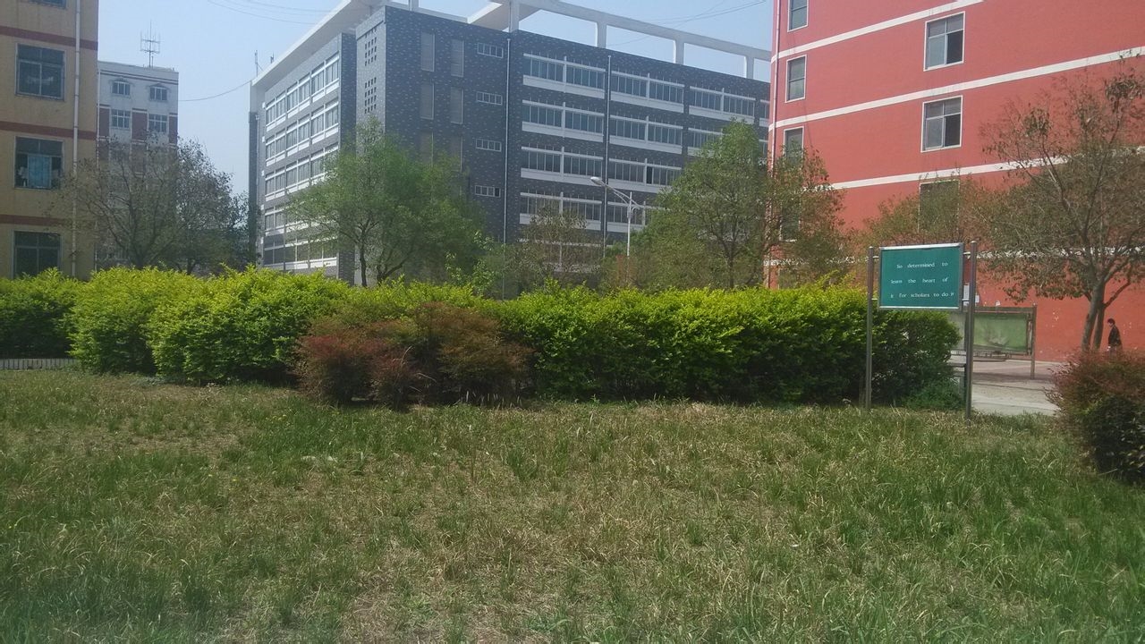  p data-id="go0f2fd2kv">黄河交通学院(huanghe jiaotong university