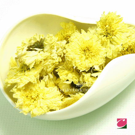 滁州贡菊_百度百科