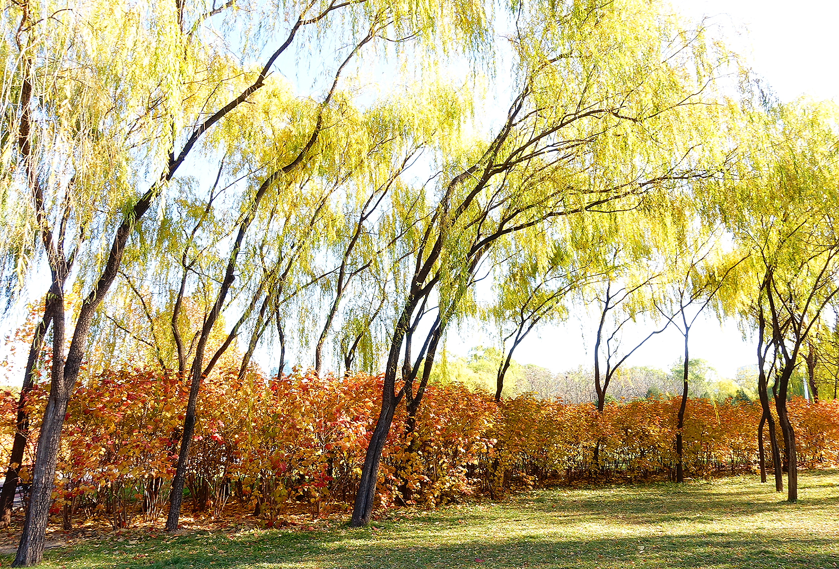  p>日月岛是大庆连环湖度假区西部一个面积约1平方公里的湖中小岛
