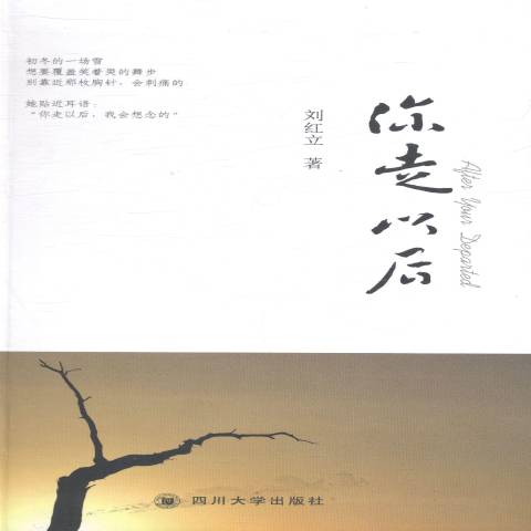 你走以后