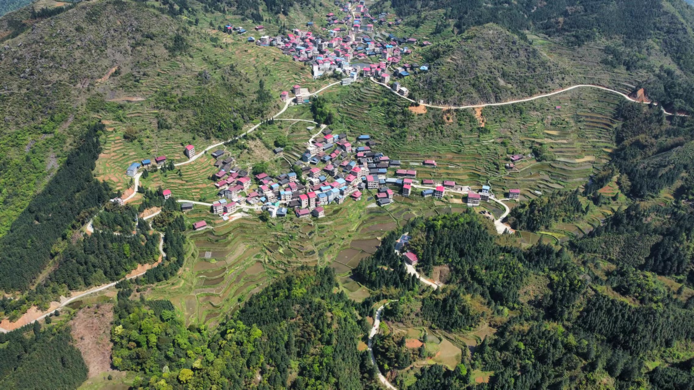大坪村