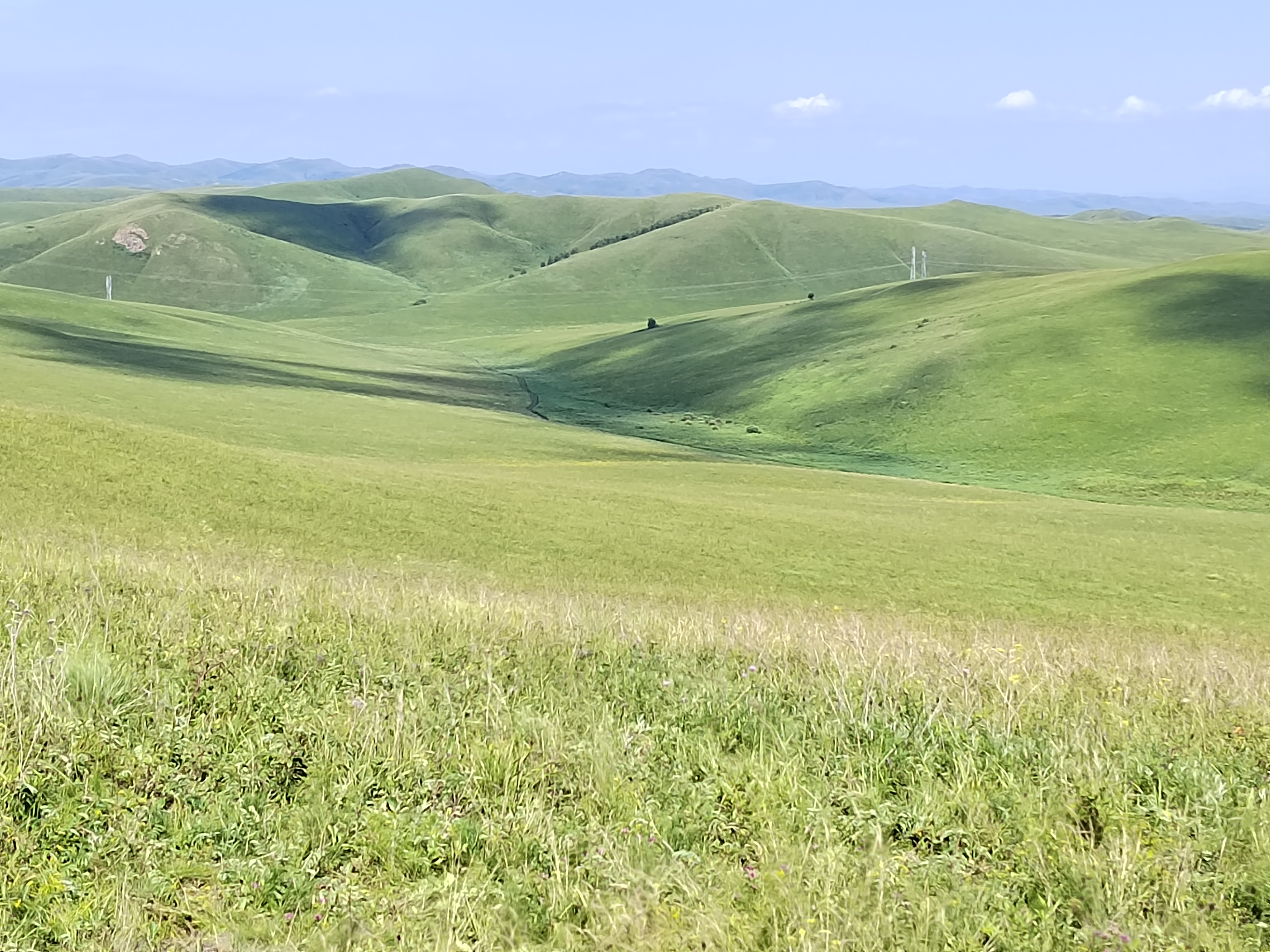 扎鲁特山地草原旅游区