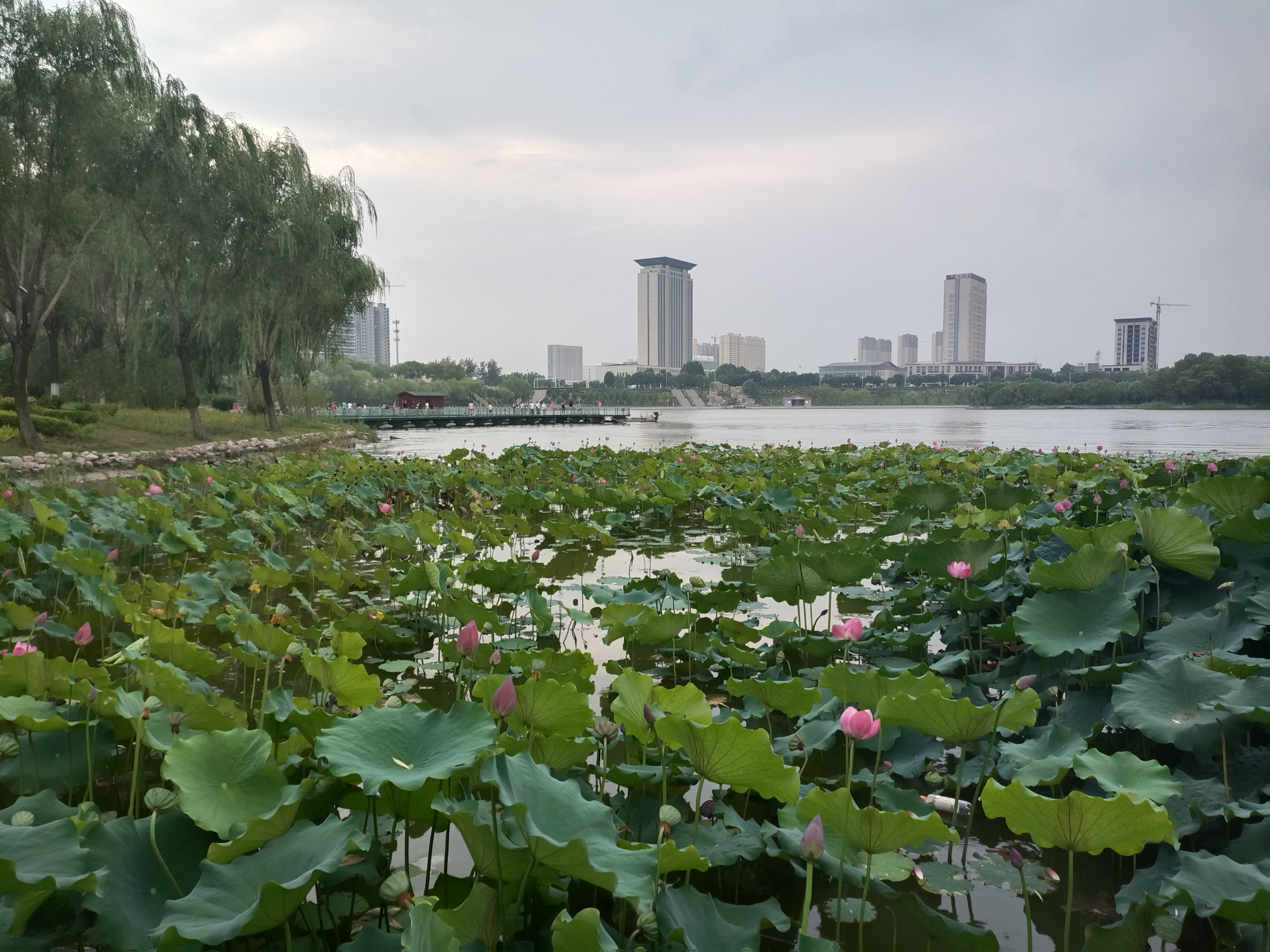 襄垣东湖公园
