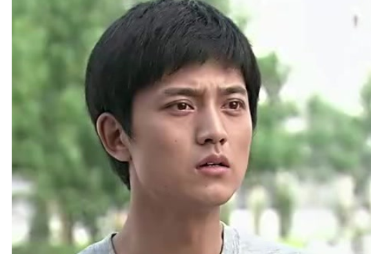  p>麦田,电视剧《葵花进城》男主角.