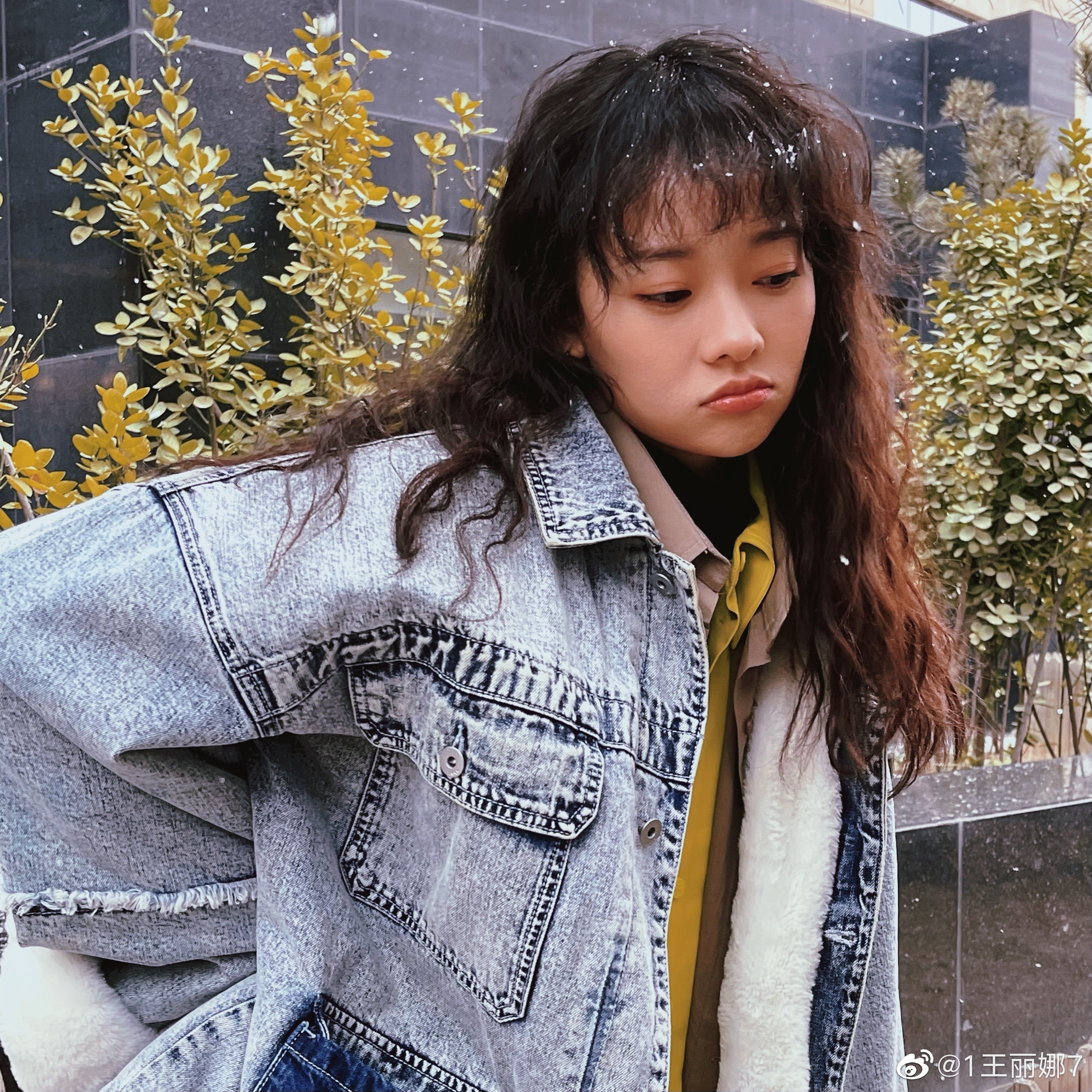 ">王丽娜,曾用名十七,1999年3月23日出生于黑龙江省,中国内地女演员