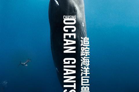 纪录片追踪海洋巨兽