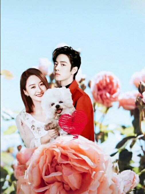 许你万丈光芒好之宠你