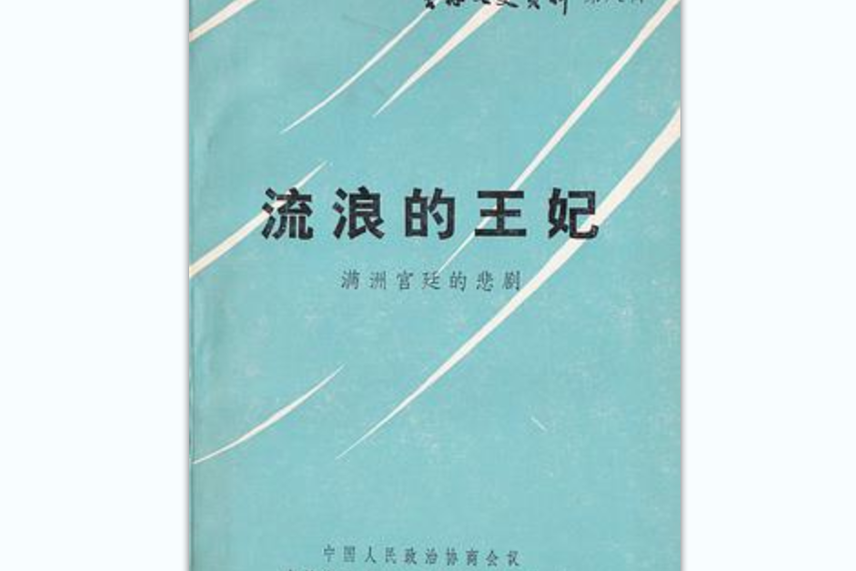 流浪的王妃