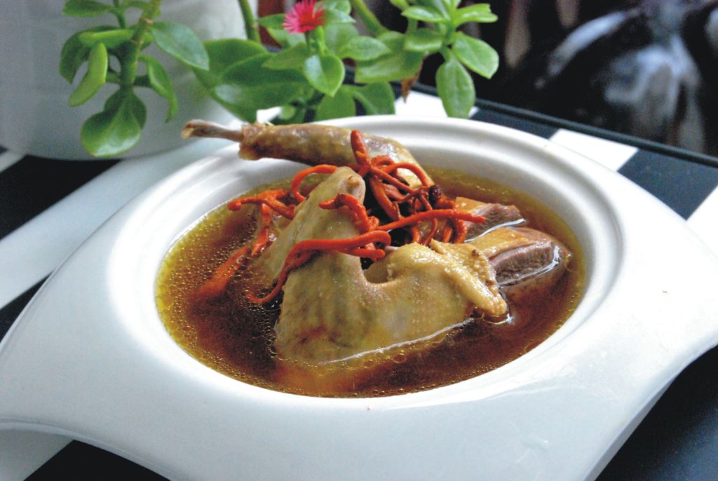 红花三七蒸乳鸽