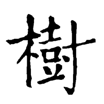 树（汉语文字）_百度百科