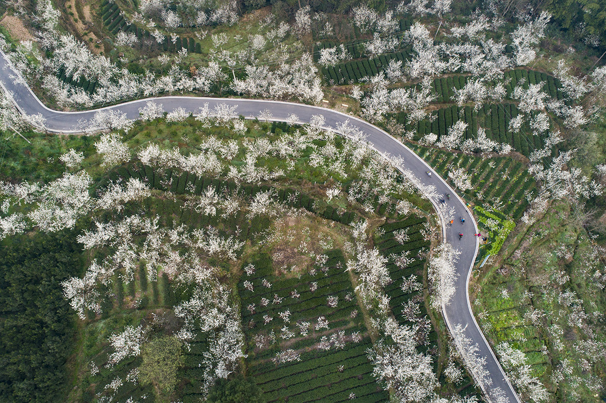 蒲江县樱桃山风景区