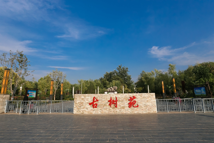  p>邙山区古树苑位于两条绿色通道天河路与开元路交汇处,邙山区委,区