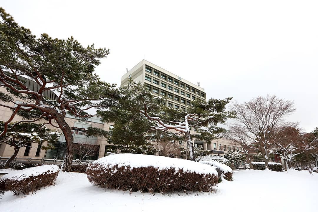  p data-id="gnc0rv4nsc">全南大学,又称全南国立大学