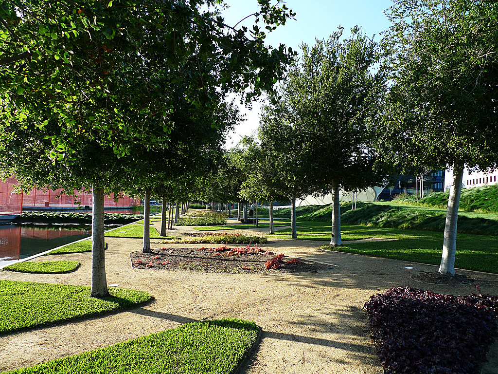  p>疏林草地景观是指在一定草本植被覆盖中混生着