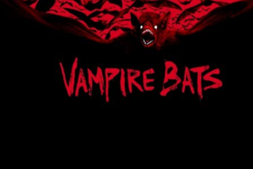 蝙蝠》是埃里克·布罗斯执导的动作片,露西·劳莱丝和迪兰·尼尔出演