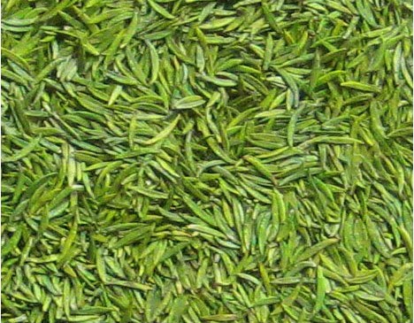 绿牡丹茶