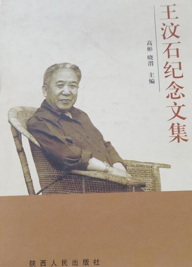 王汶石纪念文集