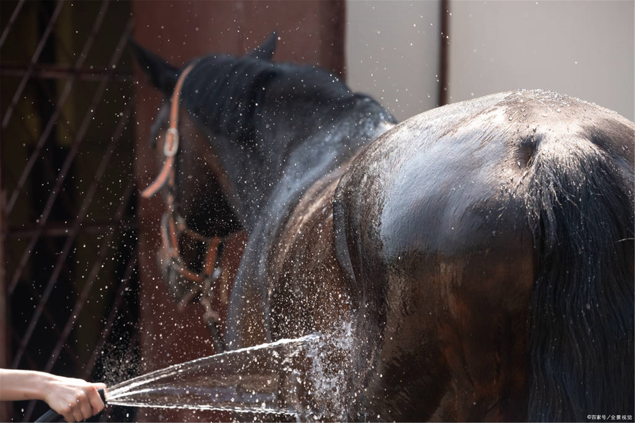 杜甫一首五律，前七句写景，只有尾句抒情，情从何来？_百科TA说