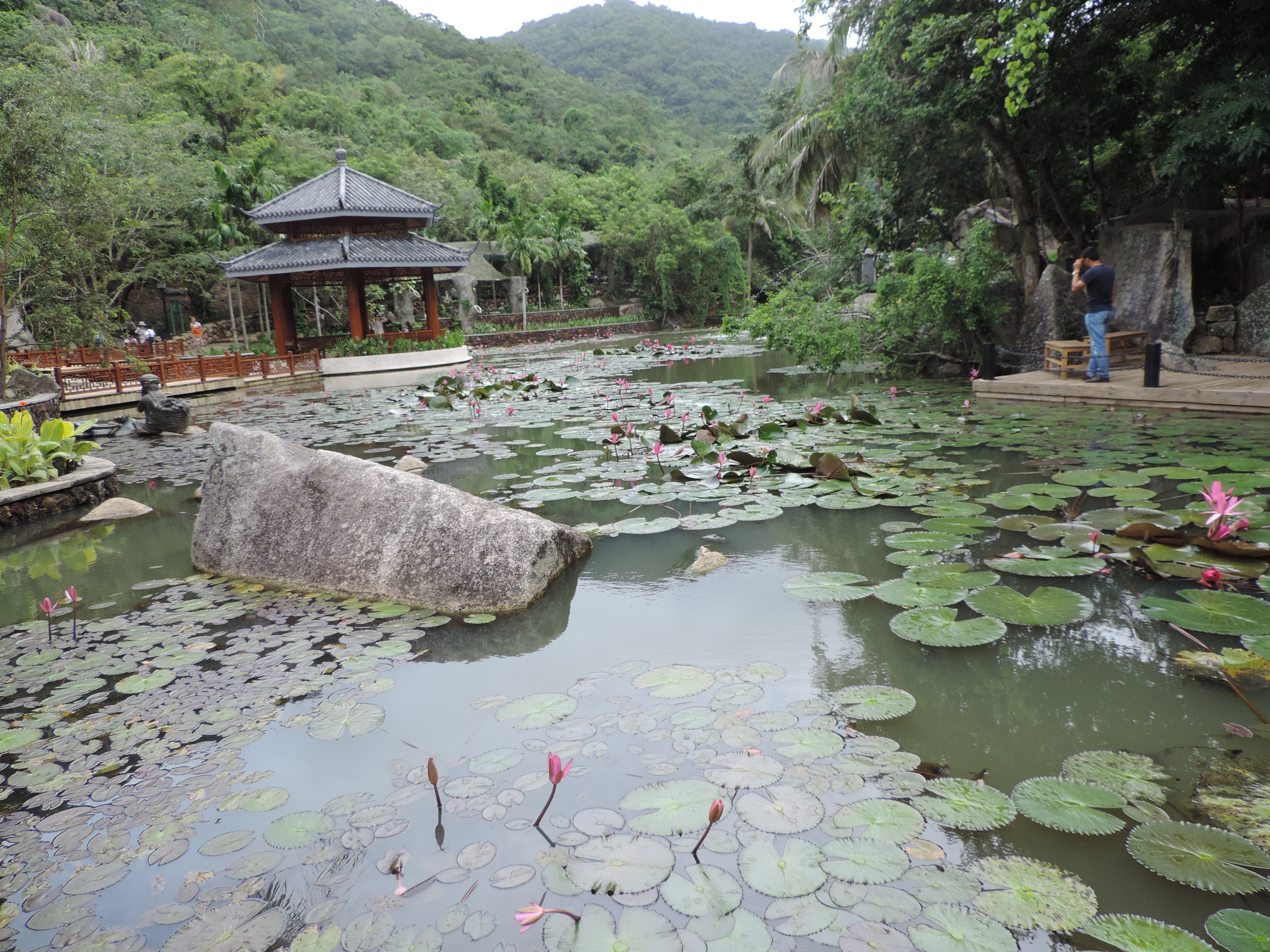 花湾森林公园