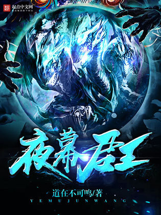 夜之王 全网资源