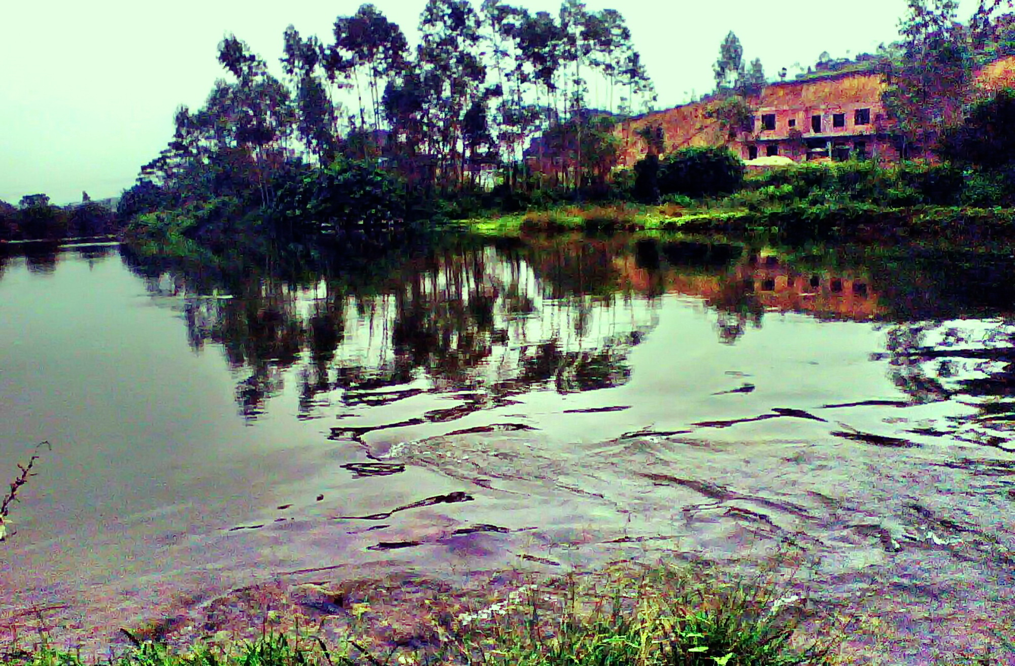 广西博白县龙潭镇