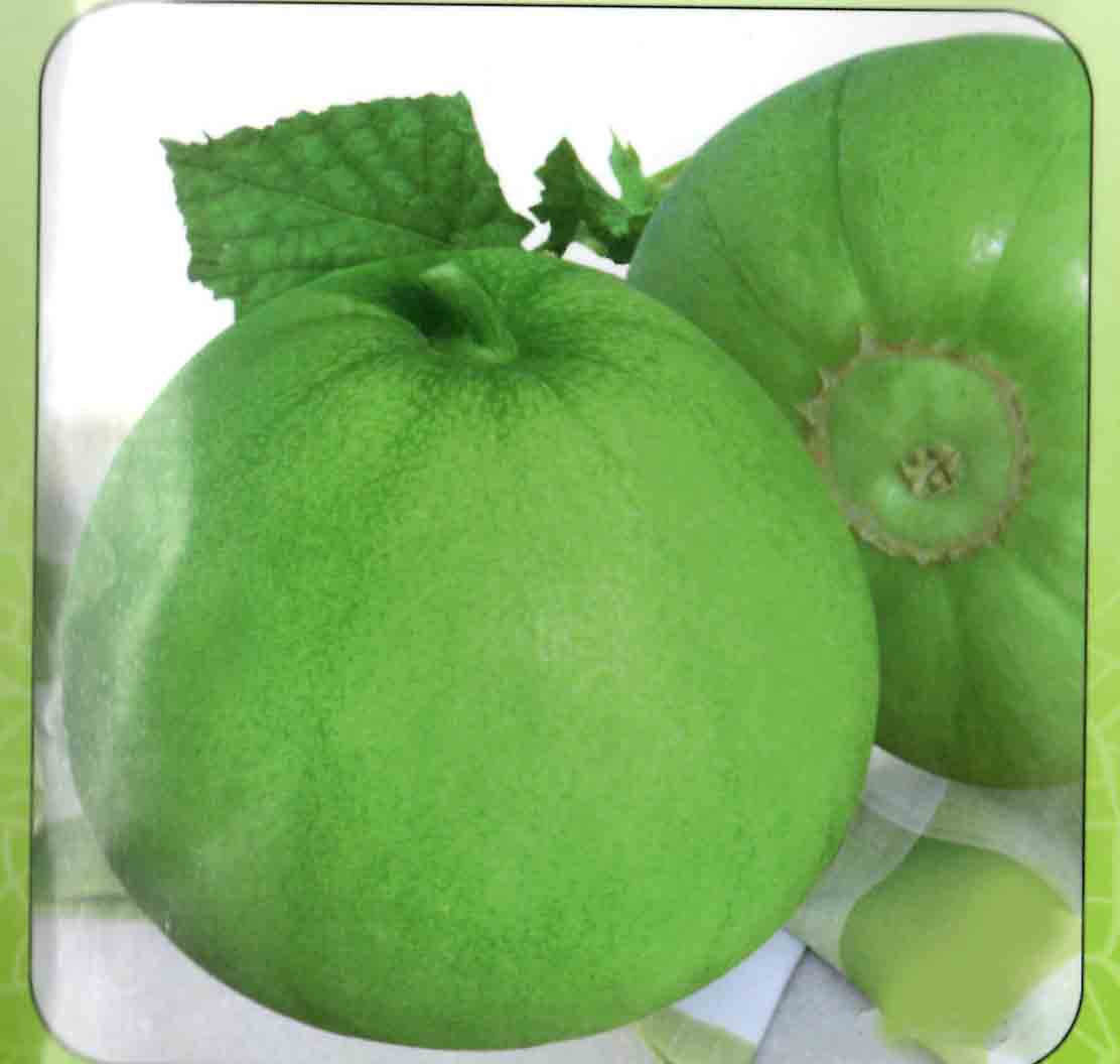  p>日本甜宝是一种甜瓜,是中晚熟瓜果.