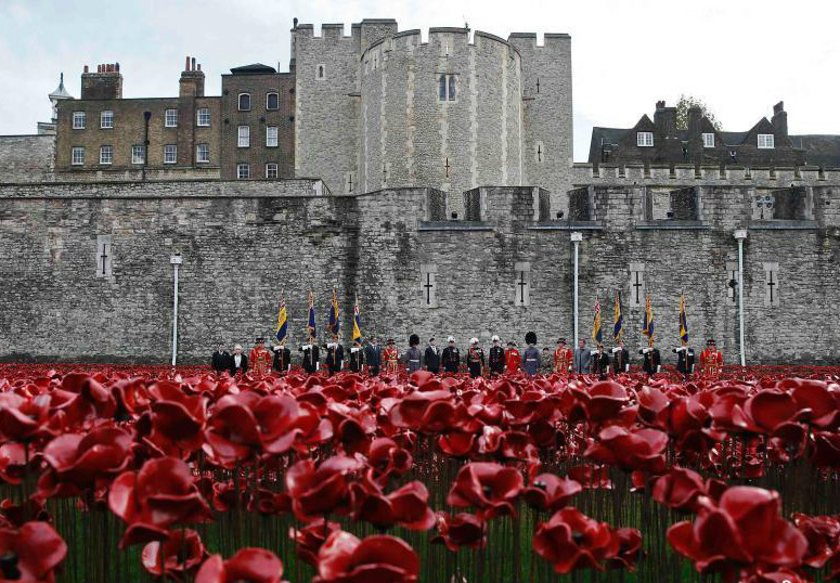  p>佛兰德斯红罂粟(英文名称:flanders field poppy)属罂粟科,一,二年