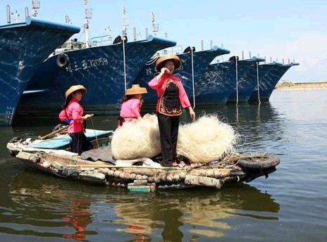  p data-id="go0ona47qw">疍家人是对 a target="_blank" href="/item