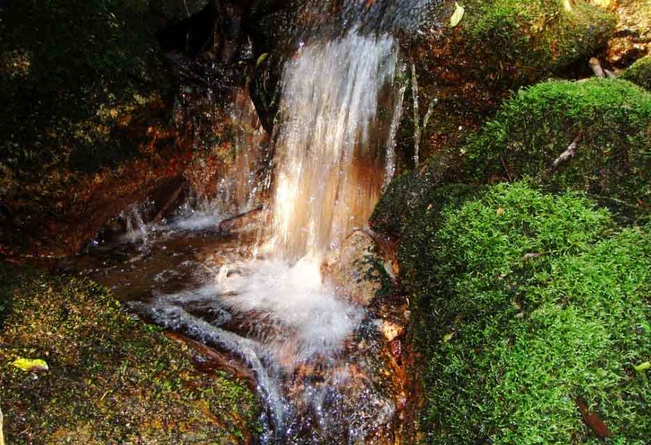 云南元阳观音山省级自然保护区